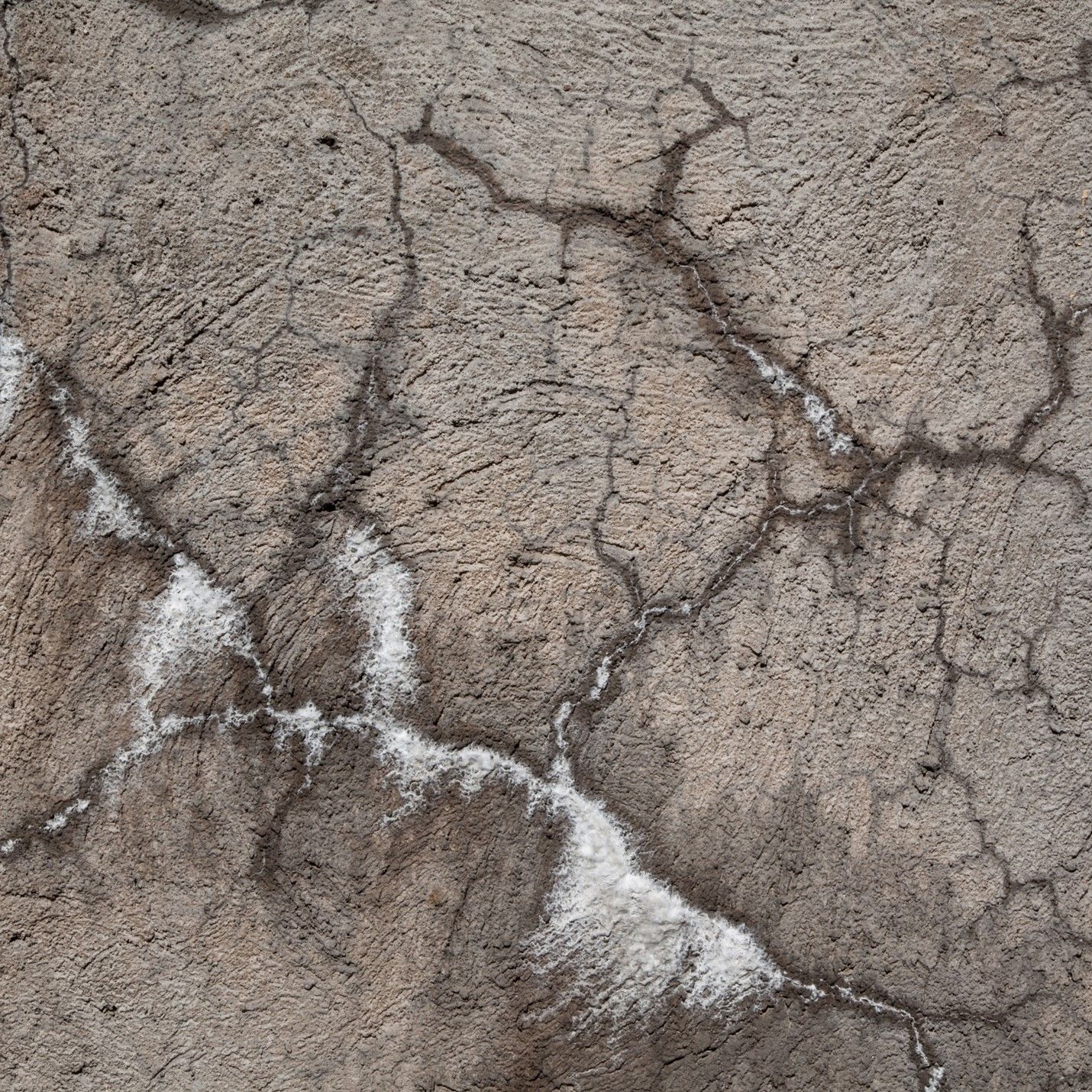Rock degraded through weathering and fungi nutrient-cycling-rock-degrading-from-fungi.jpg